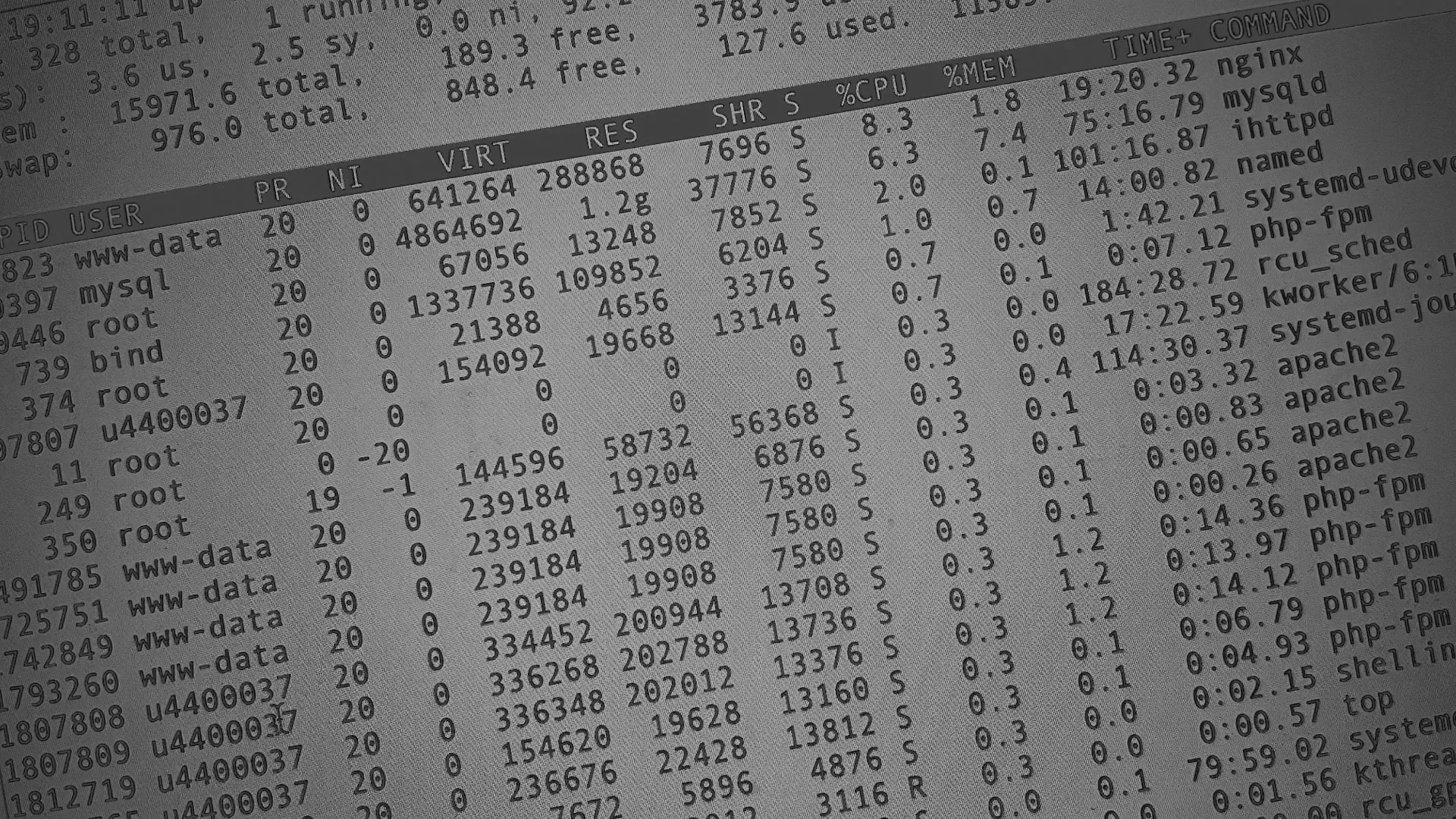 Настройка сервера в Сосенском