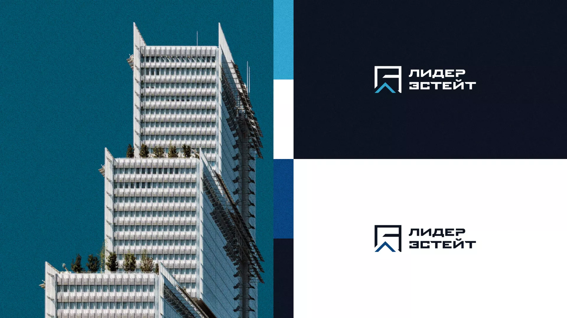Разработка логотипа агентства недвижимости «Лидер Эстейт» в Сосенском